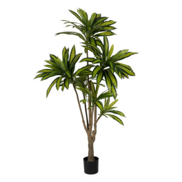 Plante Dracaena Vert Gomme Décoration 200cm