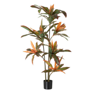 Plante Dracena Vert - Marron 140cm