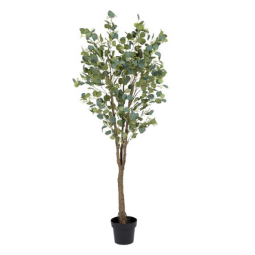 Plante Eucalyptus Vert 80x75x173cm