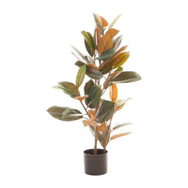 Plante Ficus Vert Foncé 36x37x90cm