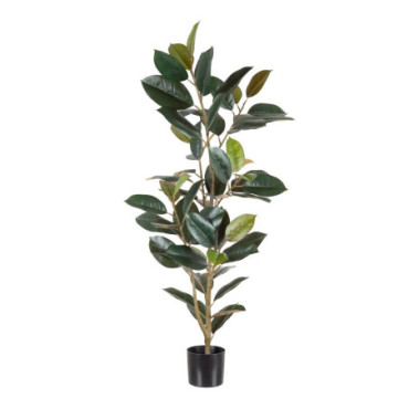 Plante Ficus Vert Foncé 49x45x125cm