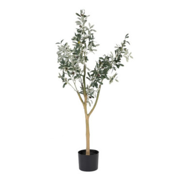 Plante Olive Vert 55x60x112cm