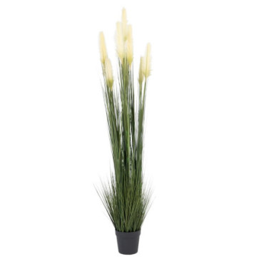 Plante Pampas Vert - Crême Pvc 44x48x200cm