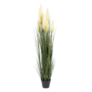 Plante Pampas Vert - Crême Pvc 57x53x150cm