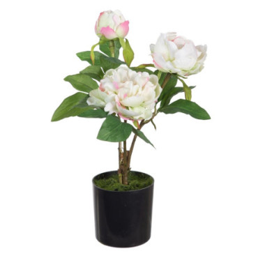 Plante Pivoine Crème Artificiel 24x20x38cm