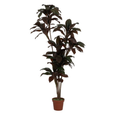 Plante Polyethylene Jardin 170cm