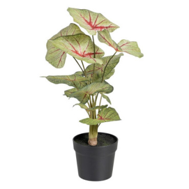 Plante Pot Caladium Rouge - Vert Pvc 40x35x55cm