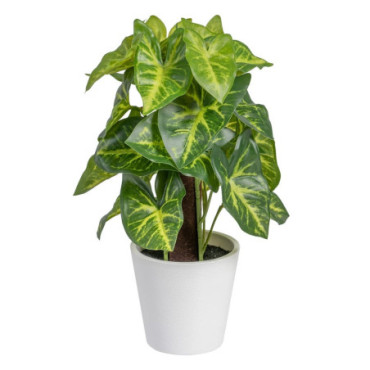 Plante Pot Taro Vert Pvc 15x15x25cm