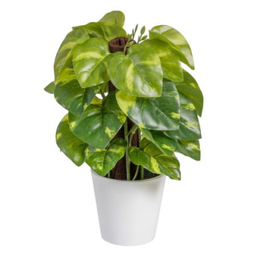 Plante Potos Vert Pvc 16x16x25cm