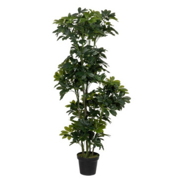 Plante Schefflera Vert Polyethylene 145cm