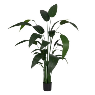 Plante Strelitzia Vert Pvc - Tissulaire 220cm