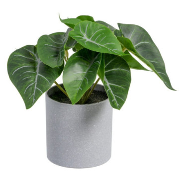 Plante Syngonium Pvc 20x17x18cm