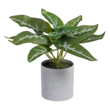 Plante Syngonium Vert Pvc 24x23x21cm