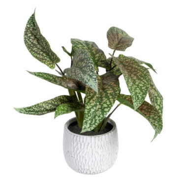 Plante Syngonium Vert Pvc 52x44x44cm