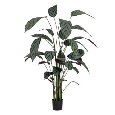 Plante Verte Pvc - Tissulaire Jardin 220cm