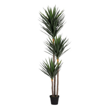 Plante Yucca Vert Polyethylene Jardin 250cm