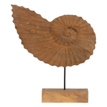 Sculpture Conque Naturel 49,50x9x53,50cm