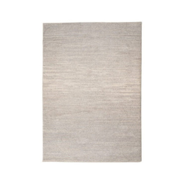 Tapis Beige 60%Polyester - 40%Jute 160x230cm