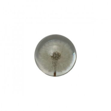 Crystal Boule Dandelion