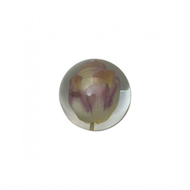 Crystal Boule Tulip