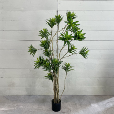 Plante Artificielle Dragonnier 210