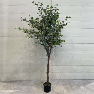 Plante Artificielle Eucalyptus 210