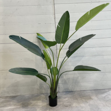 Plante Artificielle Ravenala 235