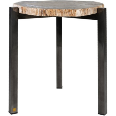 Table d'appoint en bois pétrifié 50-65x65-67cm