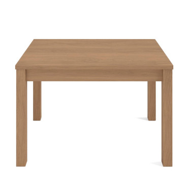 Table repas 120cm avec allonge