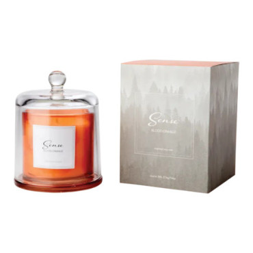 Bougie parfumée avec cloche Blood orange Orange Sense