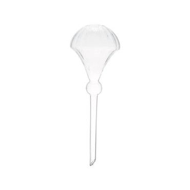 Pipette d'irrigation Olivia en verre pour plante