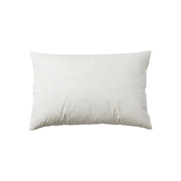 Coussin dintérieur Beige Cosy