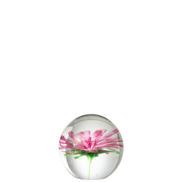 Presse Papier Sulfure Aster Rond Verre Transparent / Rose Petit