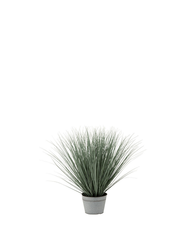 https://www.plante-ta-deco.com/67692-large_default/herbes-en-pot-metal-plastique-bleu-vert-large.jpg